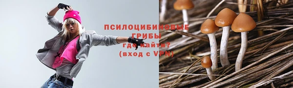 наркотики Новодвинск