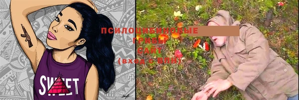 наркотики Новодвинск