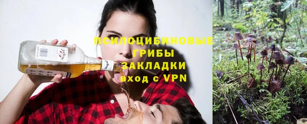 наркотики Новодвинск