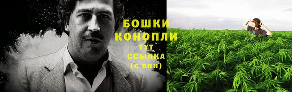 стафф Няндома
