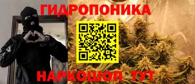 сатива Гай