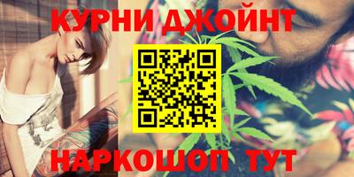 сатива Гай