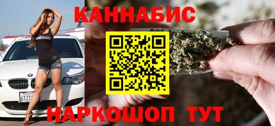 сатива Гай
