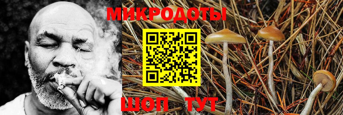 Псилоцибиновые грибы Psilocybe  Псилоцибиновые грибы MAGIC MUSHROOMS  Вход с VPN  купить наркотик  Полысаево 