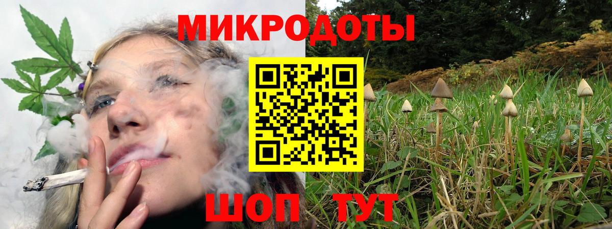 Галлюциногенные грибы GOLDEN TEACHER  Псилоцибиновые грибы Magic Shrooms  Полысаево 